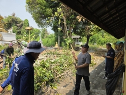 52365.jpg - เทศบาลตำบลสันป่าตอง ร่วมกับงานงานป้องกันและบรรเทาสารณภัยร่วมกับกองช่างตัดแต่งกิ่งไม้วัดกลางทุ่ง  | https://www.sanpatong.go.th