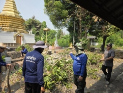 52366.jpg - เทศบาลตำบลสันป่าตอง ร่วมกับงานงานป้องกันและบรรเทาสารณภัยร่วมกับกองช่างตัดแต่งกิ่งไม้วัดกลางทุ่ง  | https://www.sanpatong.go.th