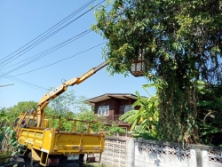 129615.jpg - เทศบาลตำบลสันป่าตอง พร้อมกับกองช่าง งานไฟฟ้าสาธารณะซ่อมเปลี่ยนฝารางซอยข้างตลาดสดเช้าปรับพื้นที่..ทางเข้าสนามกีฬา 19 ไร่ | https://www.sanpatong.go.th