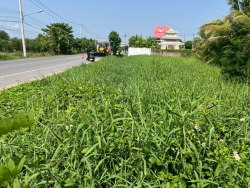 54078.jpg - เทศบาลตำบลสันป่าตองร่วมกับกองช่าง ดำเนินการ ทำความสะอาด กำจัดวัชพืช ลำเหมือง ถนน สันป่าตอง_ลำพูน | https://www.sanpatong.go.th