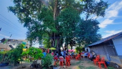 228487.jpg - เทศบาลตำบลสันป่าตอง ร่วมด้วย ผู้นำชุมชนและประชาชน ม.14 ต.ยุหว่า ร่วมพิธีประเพณีไหว้หอเจ้าบ้านและต้นมะจำโรง | https://www.sanpatong.go.th