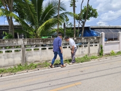 147319.jpg - เทศบาลตำบลสันป่าตอง พร้อมด้วยกองช่าง ลงพื้นที่ออกตรวจเช็คระบบและรางระบายน้ำปัญหาน้ำท่วมขัง | https://www.sanpatong.go.th