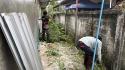 S__35143689.jpg - เทศบาลตำสันป่าตอง ร่วมกับงานป้องกันและบรรเทาสาธารณภัย สำนักปลัดเทศบาล ดำเนินการตัดกิ่งไม้และเก็บกวาดเศษไม้บริเวณด้านหลังอาคาร | https://www.sanpatong.go.th