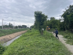 S__32325694.jpg - เทศบาลตำบลสันป่าตอง ร่วมกับ งานป้องกันและบรรเทาสาธารณภัย สำนักปลัดเทศบาล ร่วมกับกองช่าง ดำเนินการตัดกิ่งไม้ ตอไม้  | https://www.sanpatong.go.th