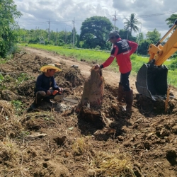 S__32325701.jpg - เทศบาลตำบลสันป่าตอง ร่วมกับ งานป้องกันและบรรเทาสาธารณภัย สำนักปลัดเทศบาล ร่วมกับกองช่าง ดำเนินการตัดกิ่งไม้ ตอไม้  | https://www.sanpatong.go.th