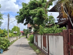 59244.jpg - เทศบาลตำบลสันป่าตอง ร่วมกับ งานป้องกันตัดกิ่งไม้ยื่น ขวางถนน คันคลองชลประทาน-ปากซอยเข้าเทศบาล | https://www.sanpatong.go.th