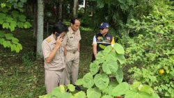 9540.jpg - เทศบาลตำบลสันป่าตอง ได้ลงพื้นที่ปฏิบัติงาน เชิงรุกเพื่อบำบัดทุกข์บำรุงสุขให้แก่พี่น้องประชาชน ในพื้นที่ อย่างเร่งด่วนของหมู่บ้านช่างกระดาษ | https://www.sanpatong.go.th