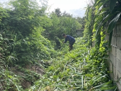 S__38420527.jpg - เทศบาลตำบลสันป่าตอง ร่วมกับงานป้องกันและบรรเทาสาธารณภัย สำนักปลัดเทศบาล   สถานที่ : บริเวณข้างร้านกาแฟควาย บ้านไร่ หมู่ที่ 5 ตำบลทุ่งต้อม อำเภอสันป่าตอง จังหวัดเชียงใหม่ (รับร้องเรียนผ่านระบบ Bellme) | https://www.sanpatong.go.th