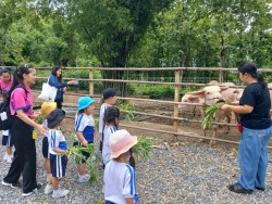 โครงการอนุบาลวัยใส กิจกรรมทัศนศึกษา ณ คาเฟ่บ้านของแม่ ภาพที่ 3 | https://www.sanpatong.go.th