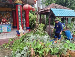 เทศบาลตำบลสันป่าตองพร้อมกับงานป้องกันและบรรเทาสาธารณภัย สำนักปลัดเทศบาล รับแจ้งเหตุผ่านระบบรับคำร้องออนไลน์ Bell Me ขอความอนุเคราะห์ตัดแต่งกิ่งไม้ภายในบริเวณวัดศรีอรุณ ภาพที่ 4 | https://www.sanpatong.go.th
