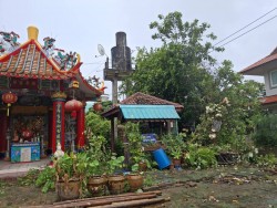 เทศบาลตำบลสันป่าตองพร้อมกับงานป้องกันและบรรเทาสาธารณภัย สำนักปลัดเทศบาล รับแจ้งเหตุผ่านระบบรับคำร้องออนไลน์ Bell Me ขอความอนุเคราะห์ตัดแต่งกิ่งไม้ภายในบริเวณวัดศรีอรุณ ภาพที่ 5 | https://www.sanpatong.go.th