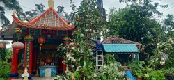 เทศบาลตำบลสันป่าตองพร้อมกับงานป้องกันและบรรเทาสาธารณภัย สำนักปลัดเทศบาล รับแจ้งเหตุผ่านระบบรับคำร้องออนไลน์ Bell Me ขอความอนุเคราะห์ตัดแต่งกิ่งไม้ภายในบริเวณวัดศรีอรุณ ภาพที่ 8 | https://www.sanpatong.go.th